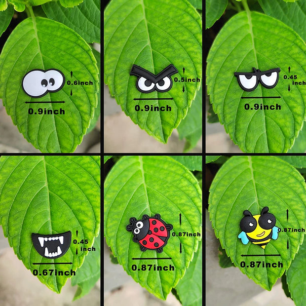 6pcs Living Plants