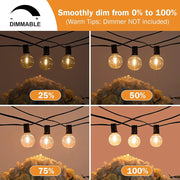 LED Globe String Fairy LED Light